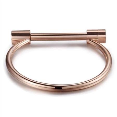Bar rose gold bangle (TF) - ebrook lael